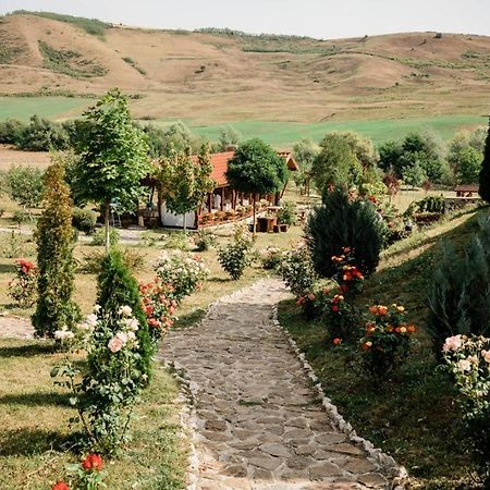 Agropensiunea Cosette Benic Экстерьер фото