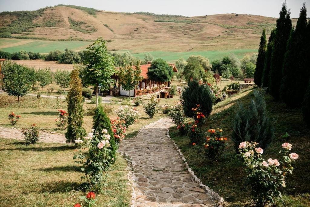 Agropensiunea Cosette Benic Экстерьер фото